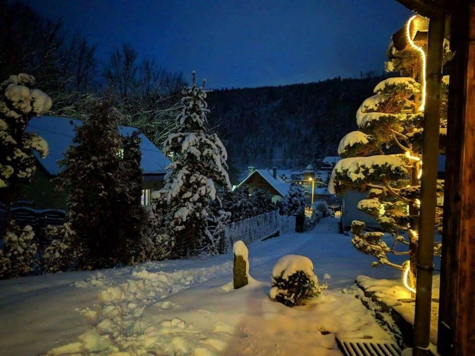 Domek Nicponia Szczyrk Exteriér fotografie